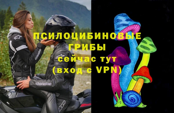 не бодяженный Алзамай