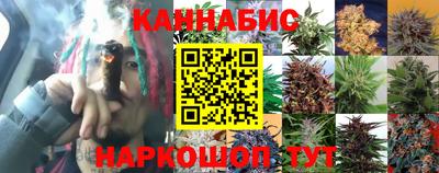 крисы Комсомольск-на-Амуре